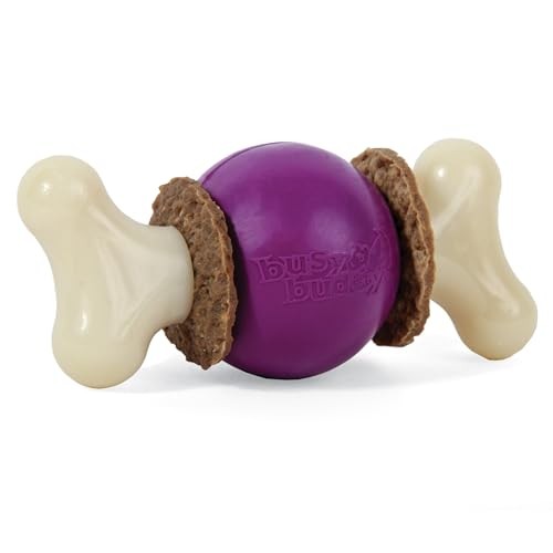 Busy Buddy Treat Holding Dog Toy, Best for Dogs Up to 10 Lb. Small Bouncy Bone