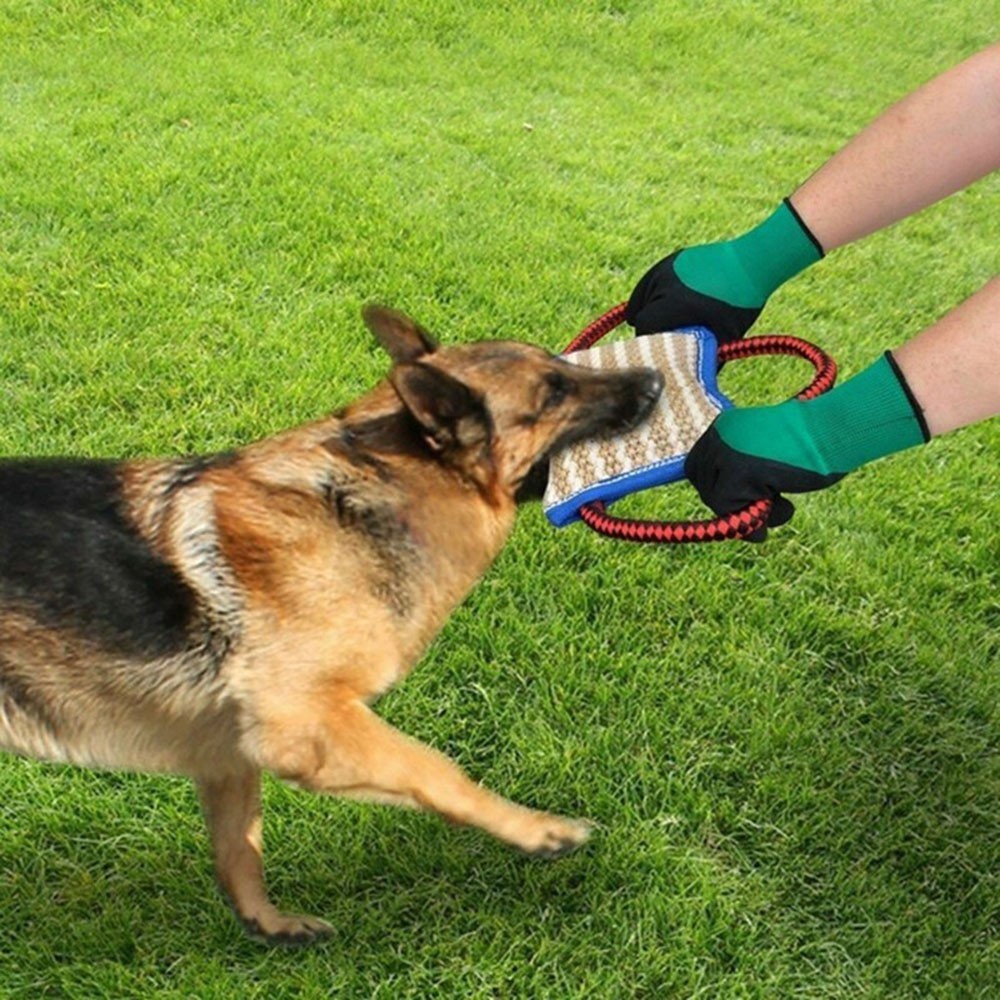 Three Handle Bite Wedge for K9 Schutzhund Training Interactive Play Tug
