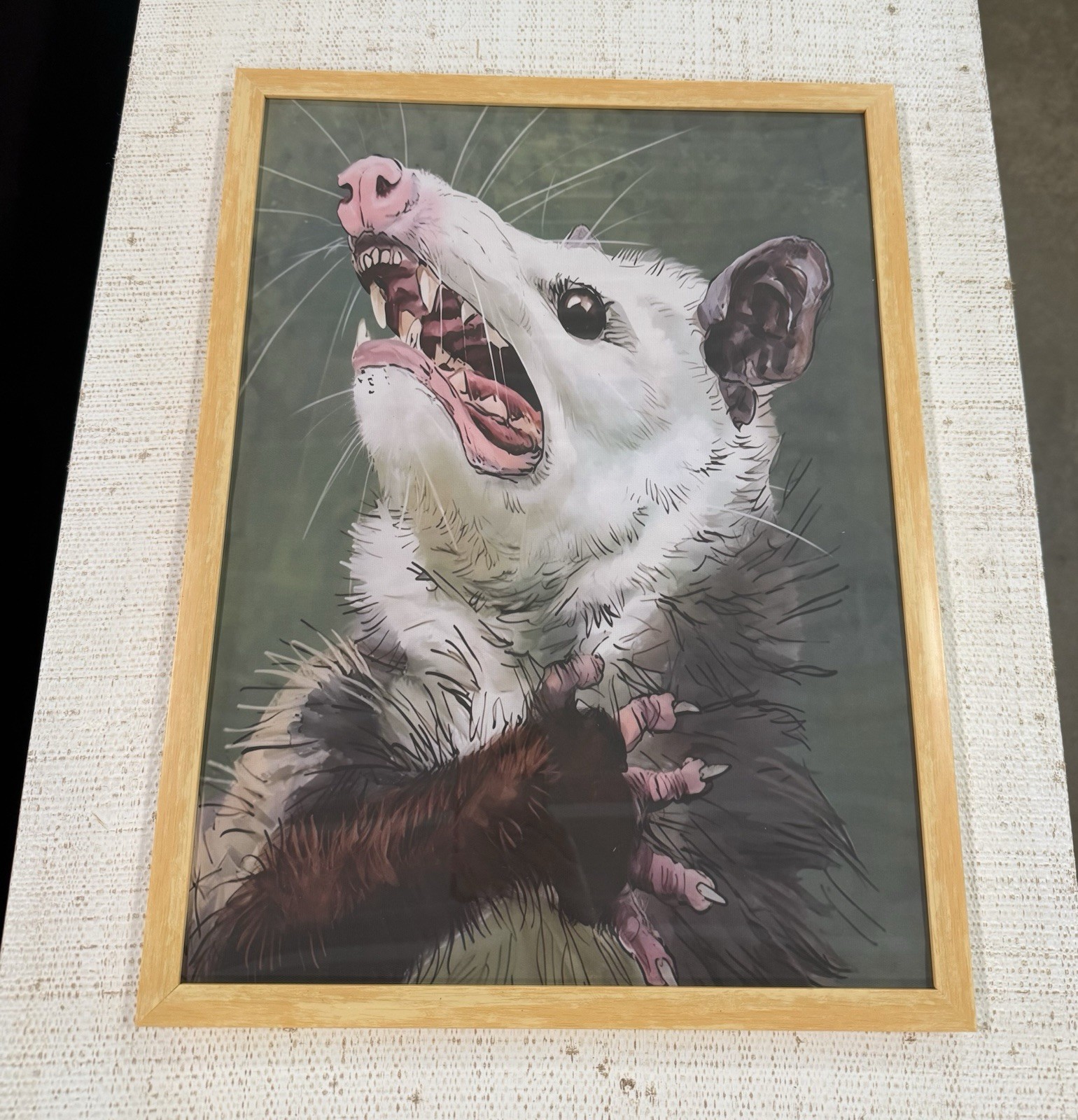 Whimsical Funny, Opossum Wall Art Home Decor Framed Print 12 X 16 ￼