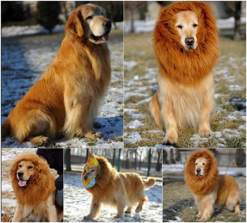 Dog Lion Mane Costume with Ears,Comfortable Fancy Halloween Lion Mane Wig Costum