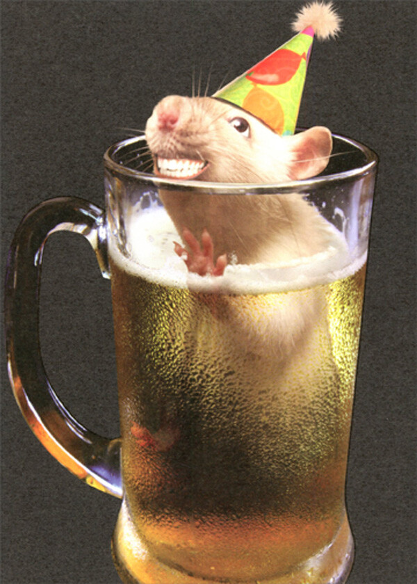 Smiling Party Mouse in Beer Mug Funny / Humorous Birthday Card