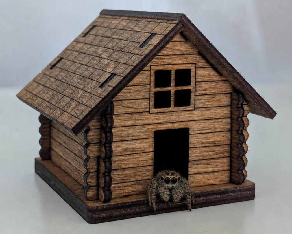 Jumping Spider House Log Cabin Supplies Small Pet Hide Home Decor Wood Mini Gift