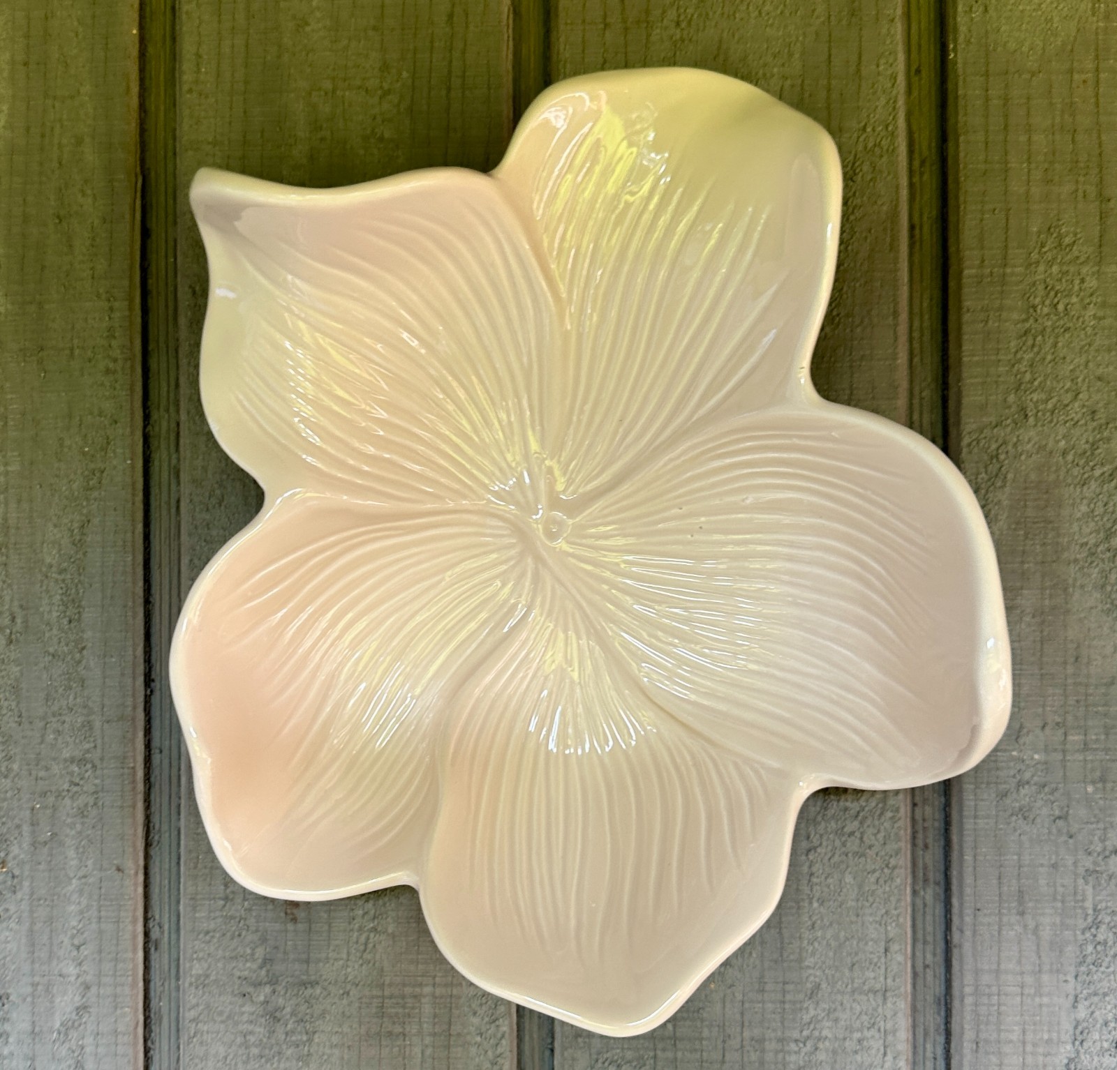 Arhaus Cream Magnolia 8.5" Plate Bowl Wall Hanging