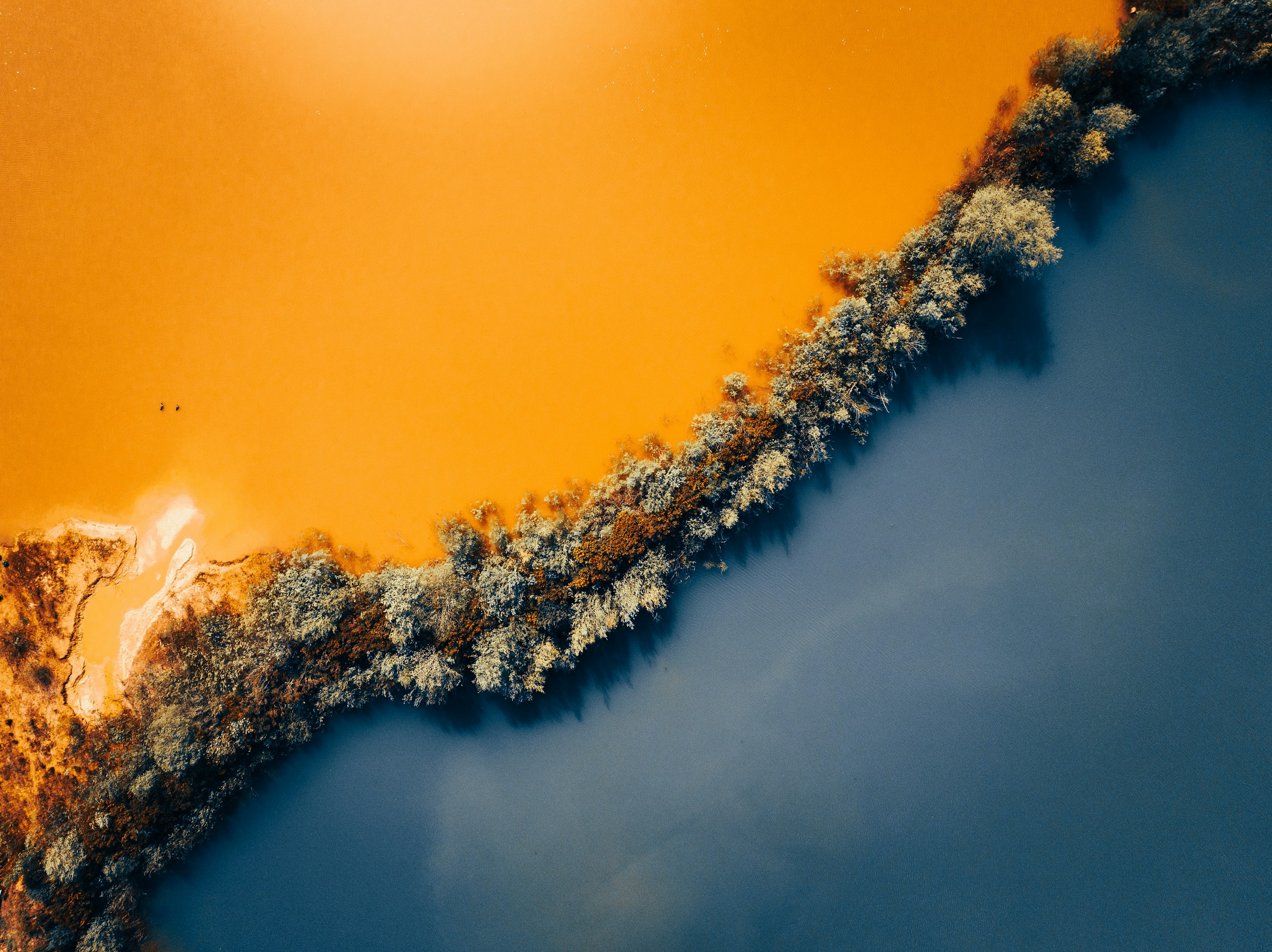 A aerial shot of water, one one side it is yellow and toxic, and divided by a small piece of land with trees, on the other side is blue