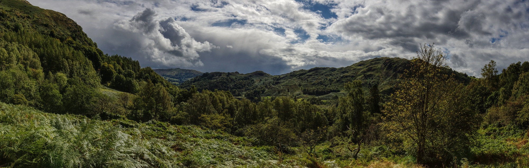 Rolling hills and woodland landscape near the Coffin Trail above Grasmere, Lake District