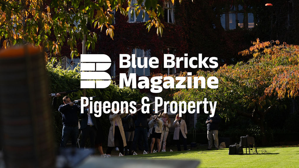 Pigeons & Property 2024