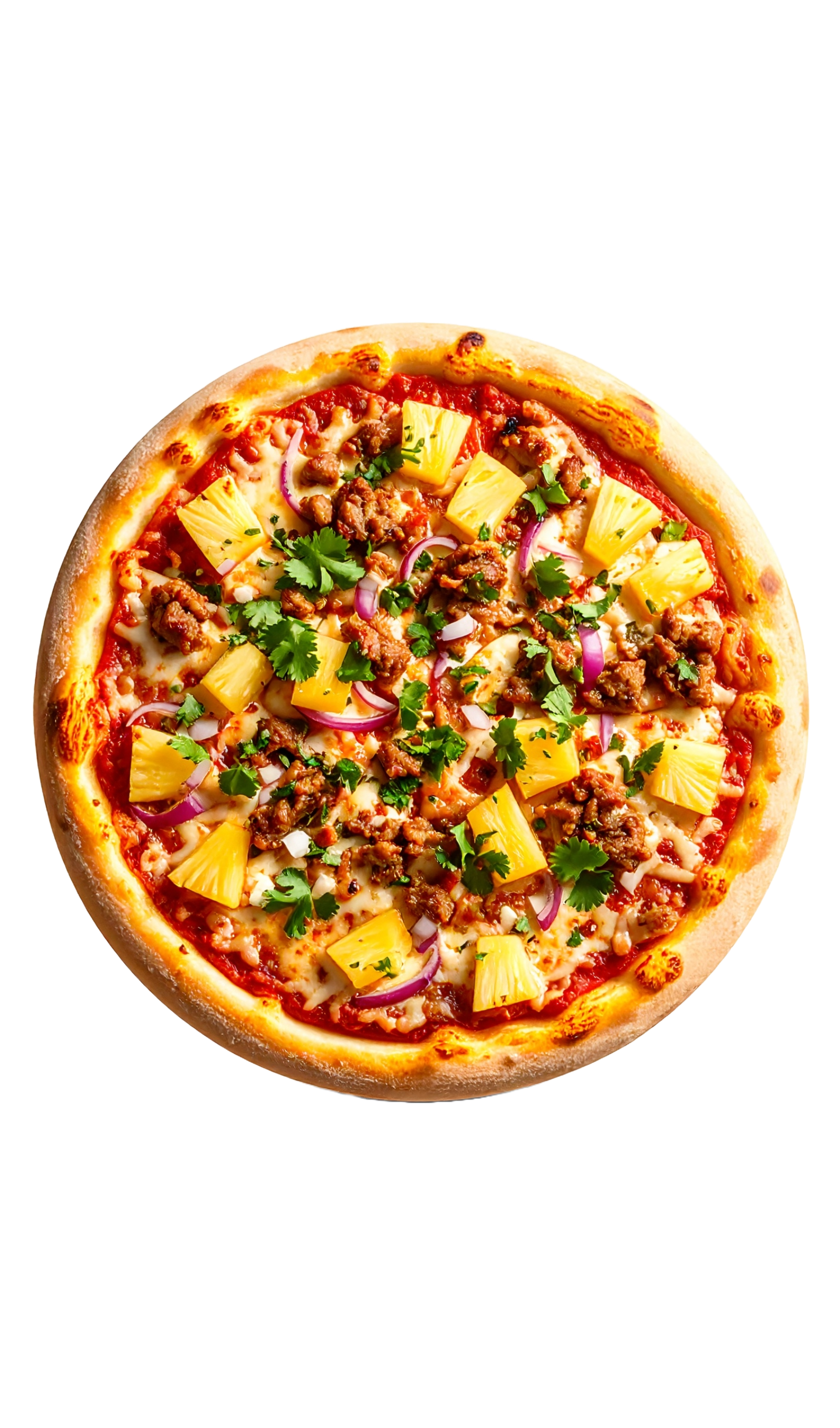 Traditional Napoletana pizza
