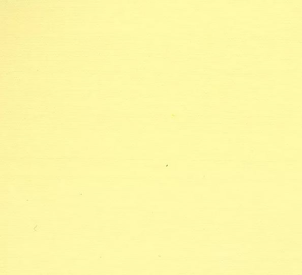Sunset Silk Citron