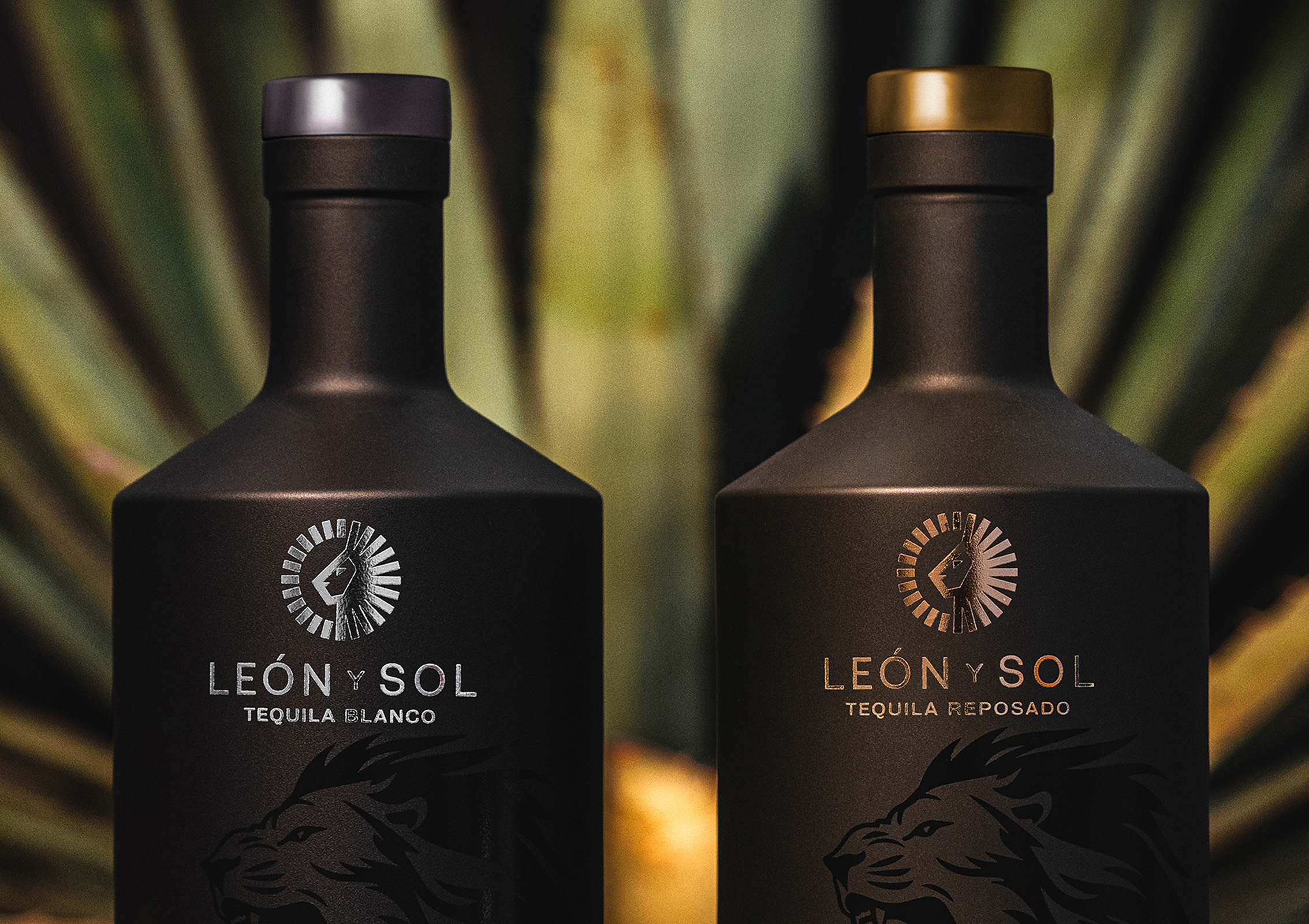 Silver vs. Reposado Tequila: Key Differences Explained