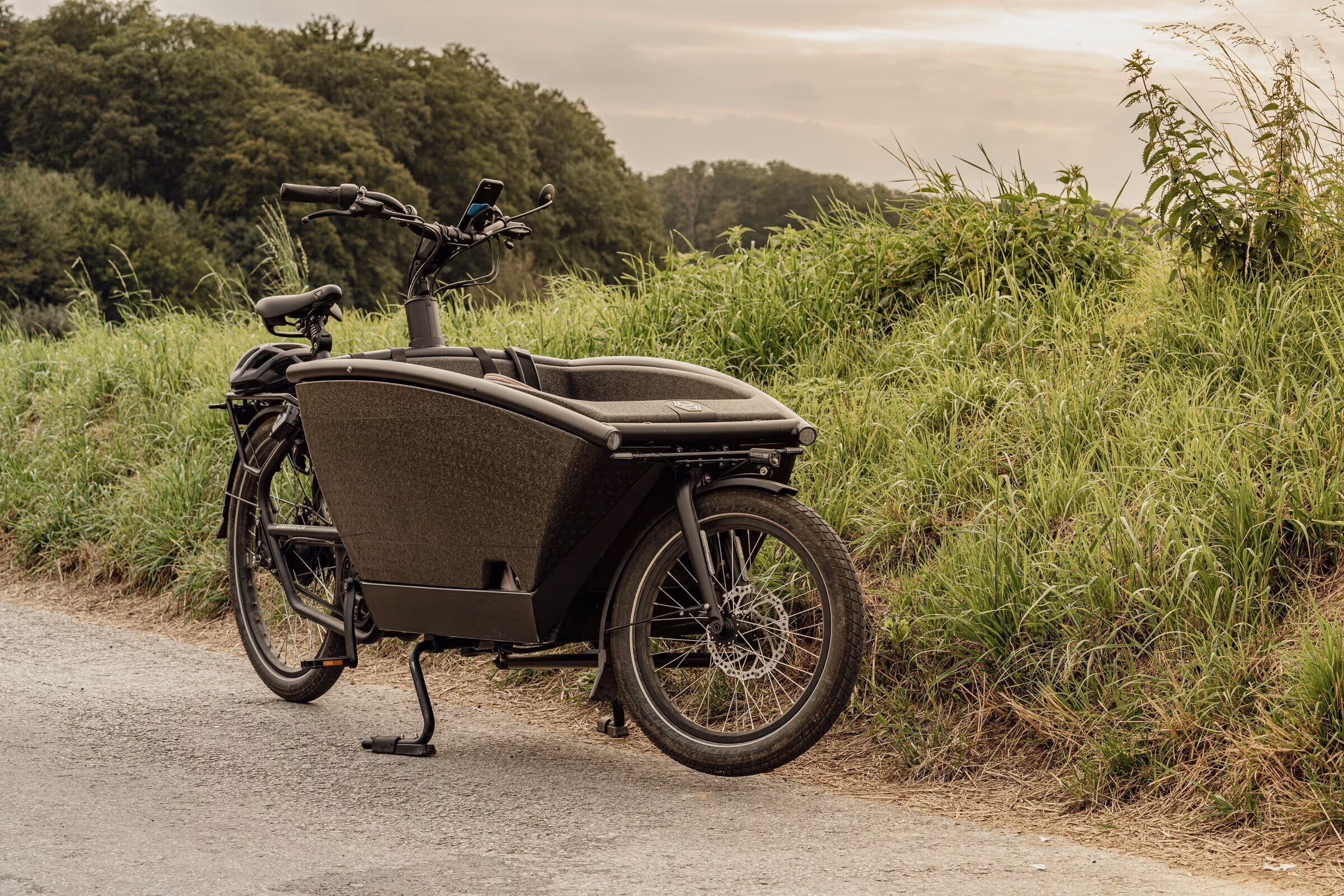 Schwarzes Lastenfahrrad vor einer Wiese