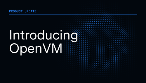 Introducing OpenVM