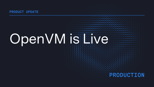 Releasing OpenVM to Production