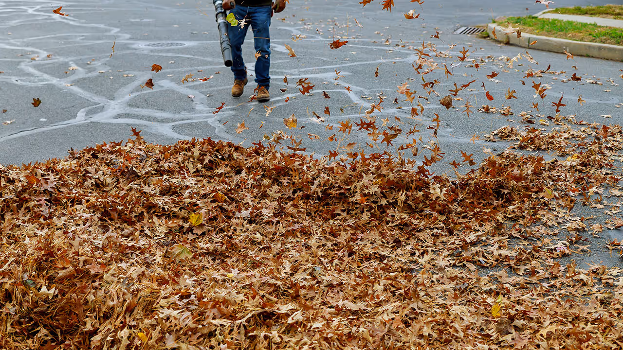 Seasonal lawn clean-up removing leaves and debris in a Shawnee backyard