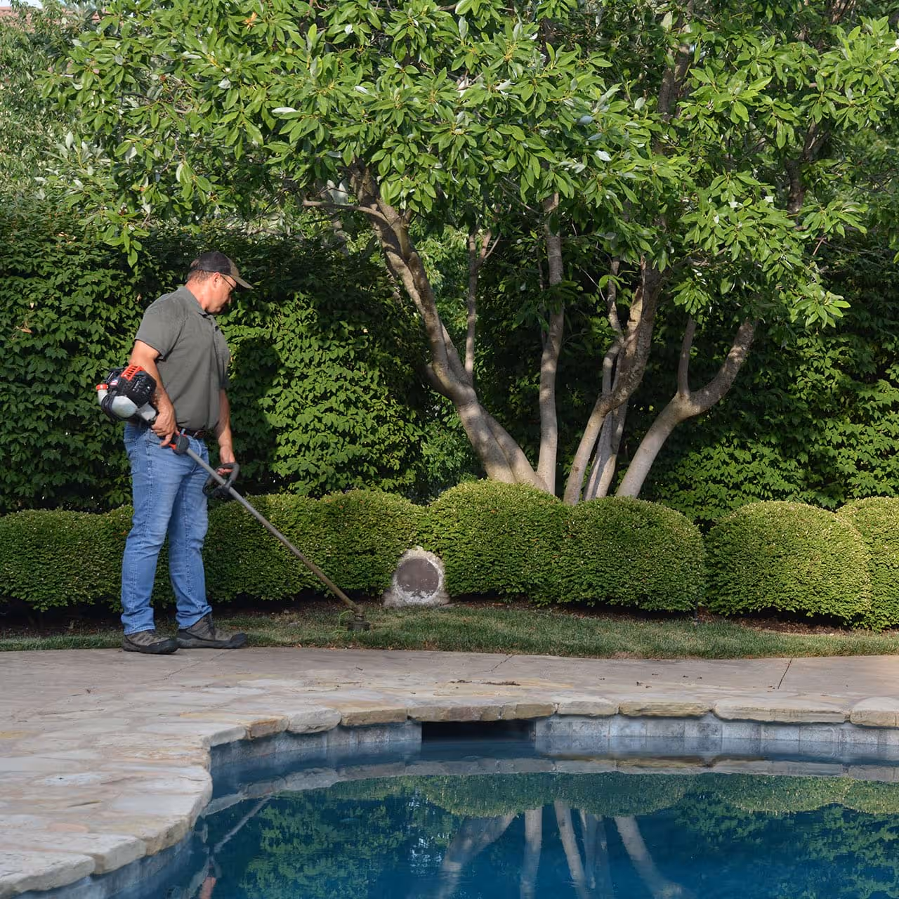 Insured lawn care professionals operating zero-turn mower in Lenexa KS