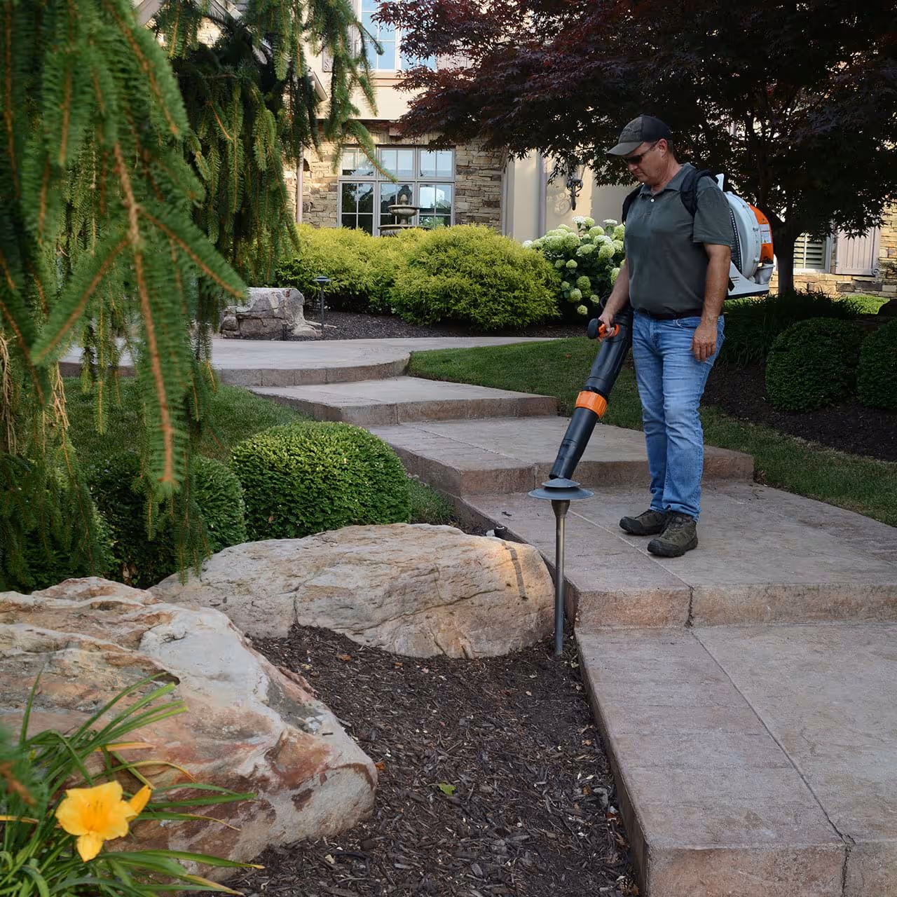 Local lawn care experts near me providing full-service yard maintenance