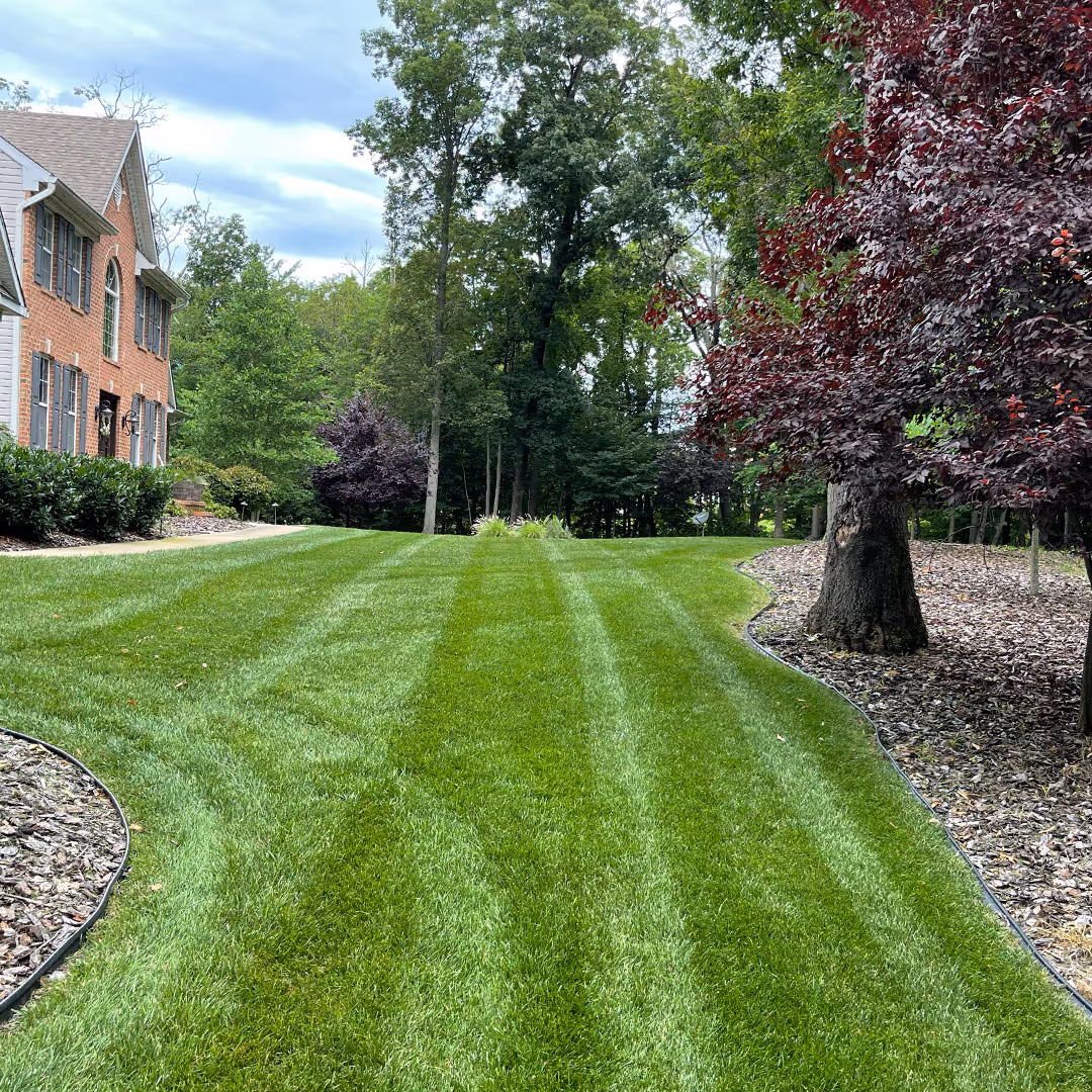 Commercial-grade mower cutting stripes on Lenexa KS property near me