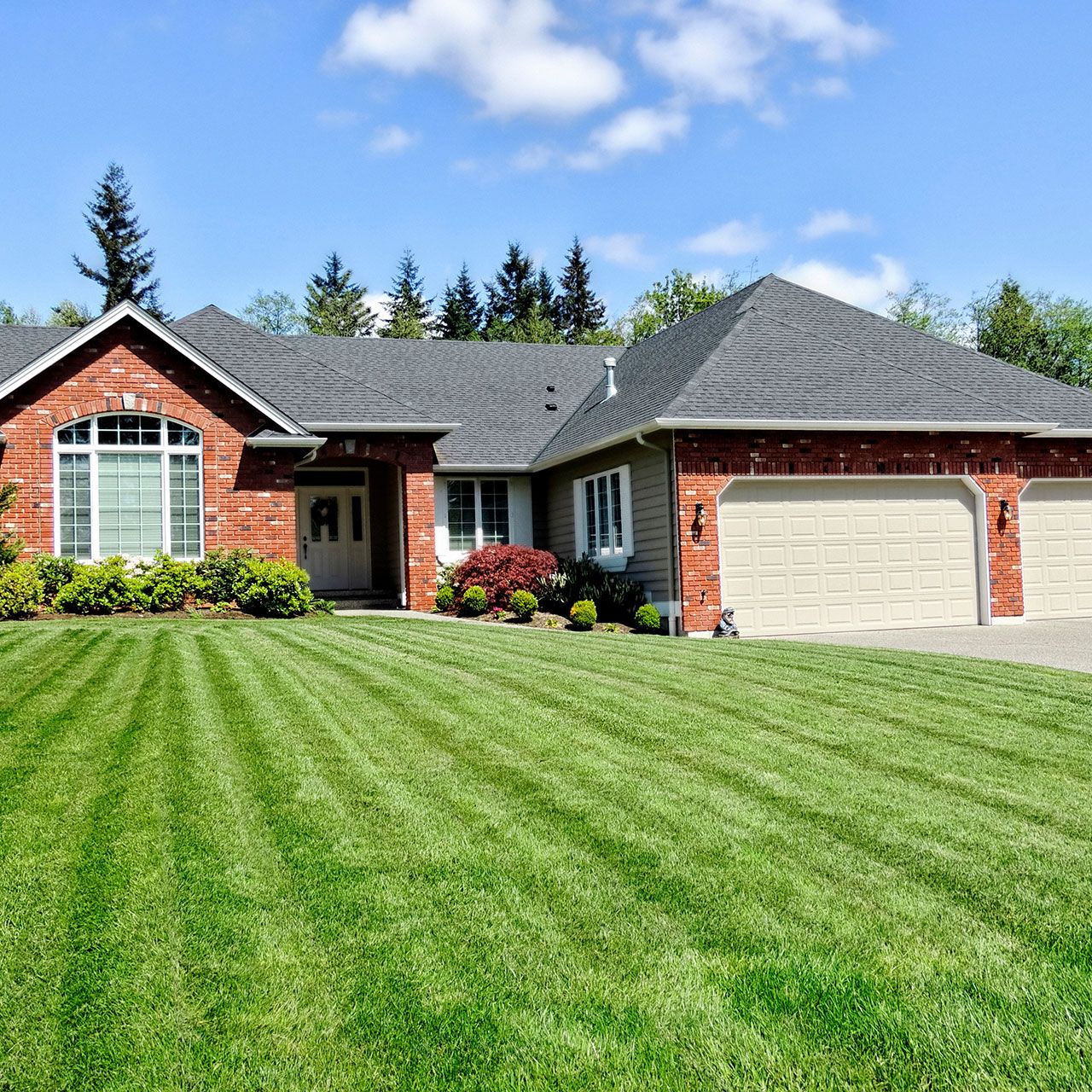 Commercial-grade mower cutting stripes on Lenexa KS property near me