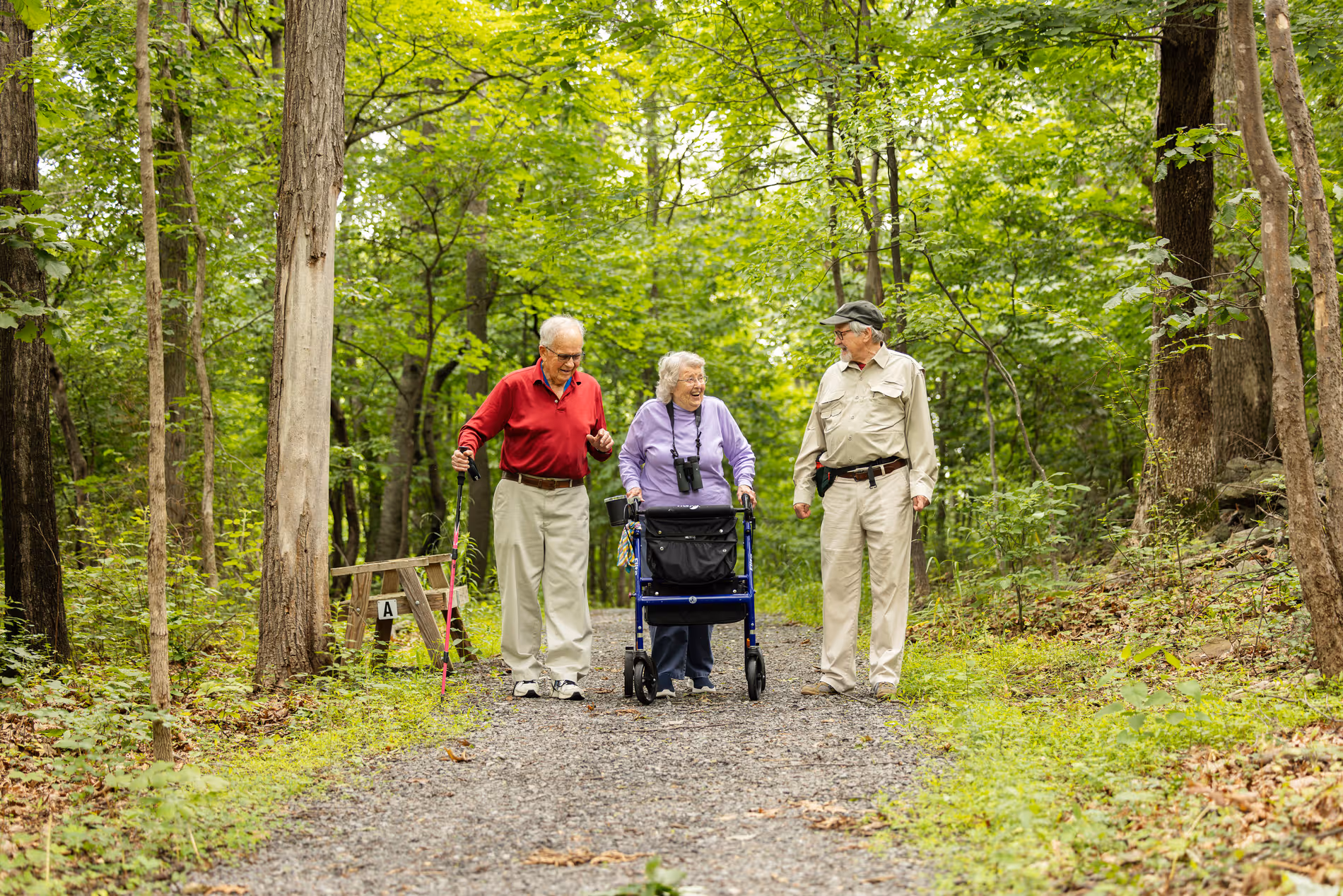 Three elderly people walking and chatting on a forest trail surrounded by green trees.