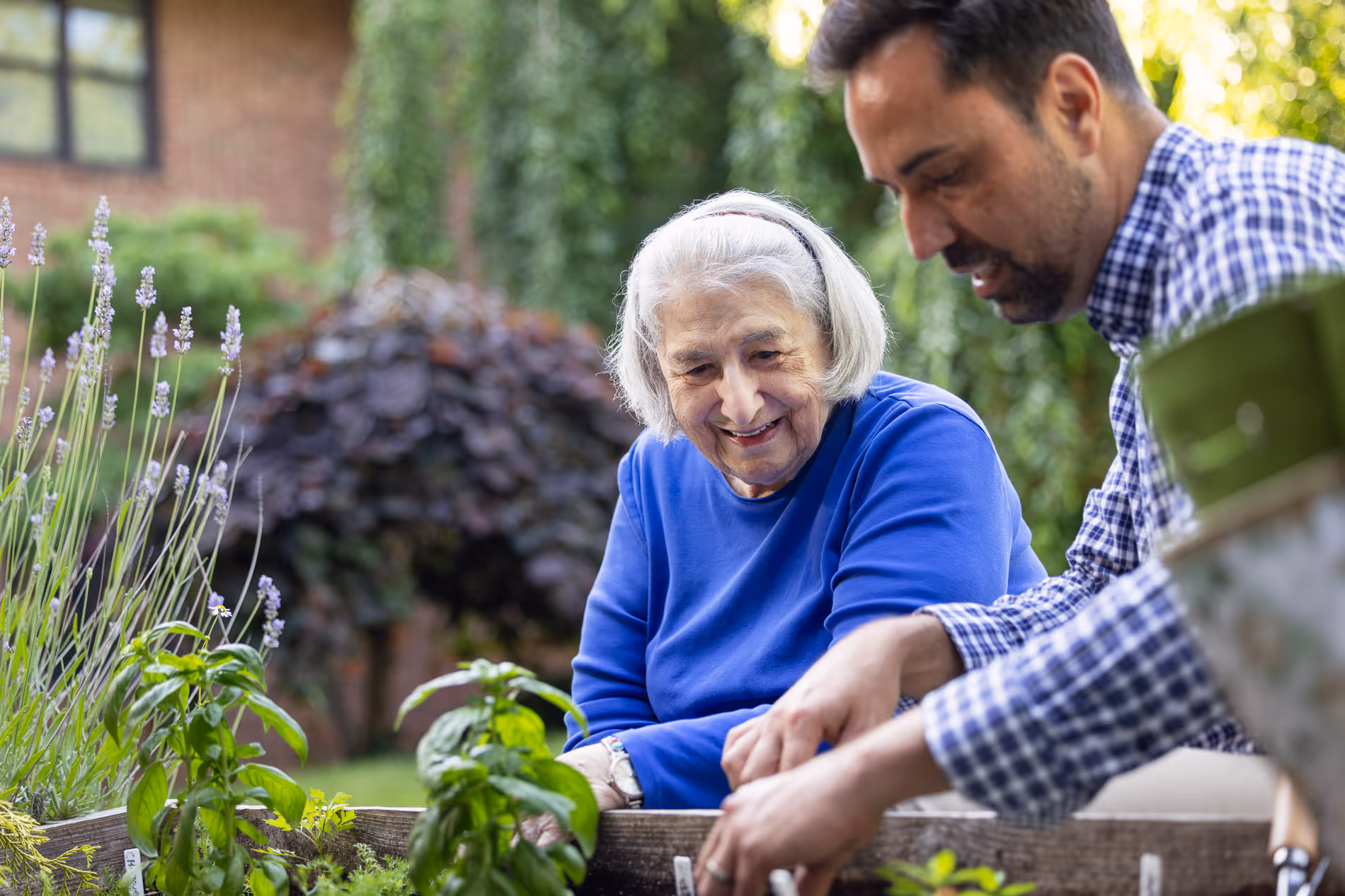 Elderly woman in a blue sweater gardening outdoors with the help of a younger man in a checkered shirt.