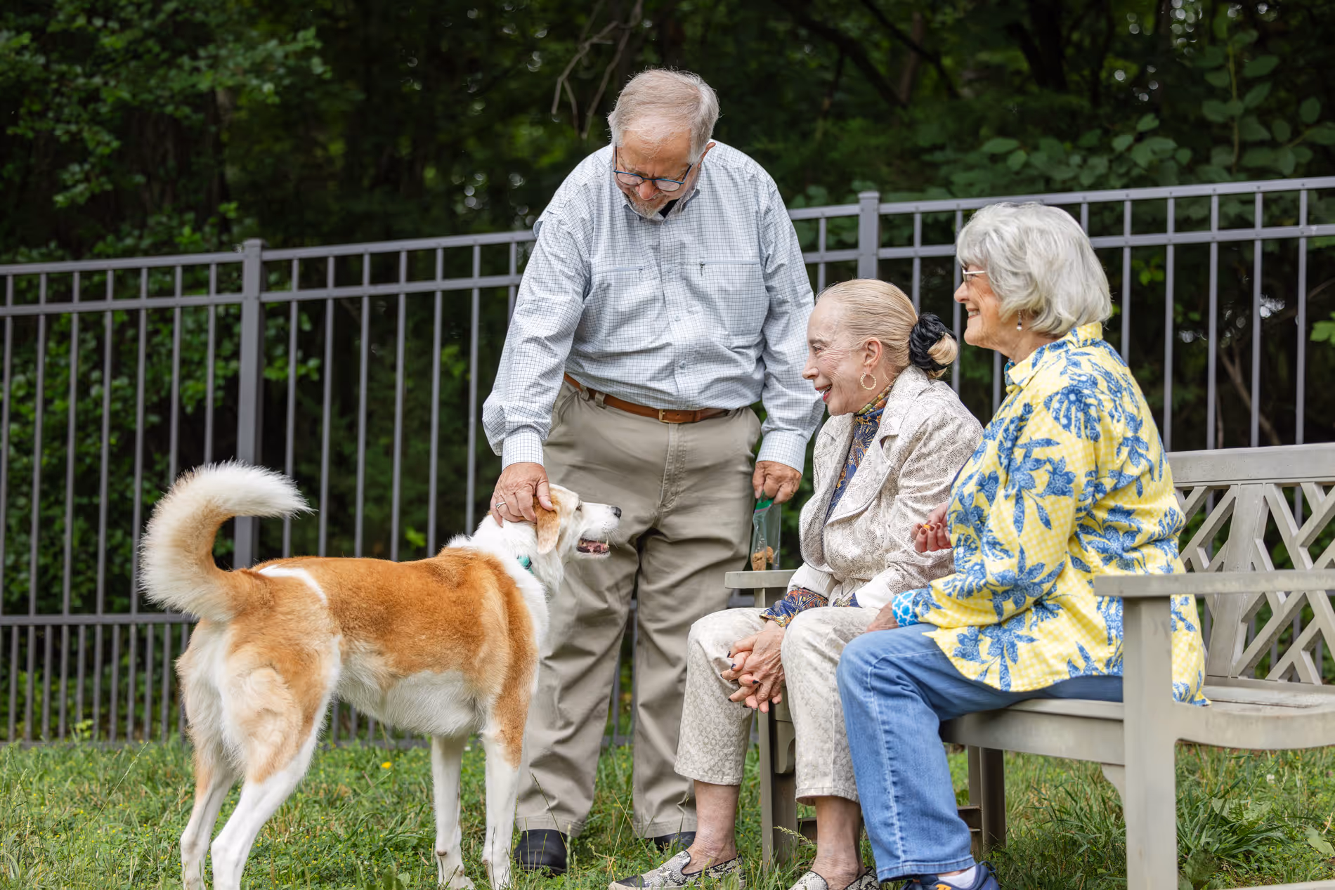Three elderly people sit on a bench, watching a man pet a large dog in a fenced yard.
