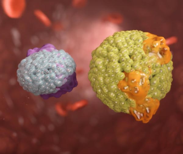 An illustration of lipid molecules