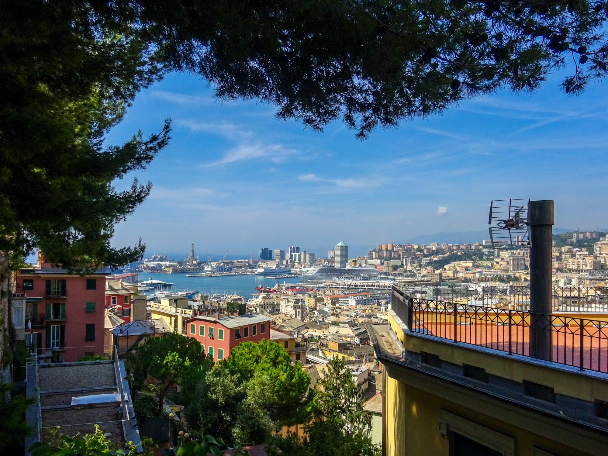 Genoa harbour and city from above, with hills behind
