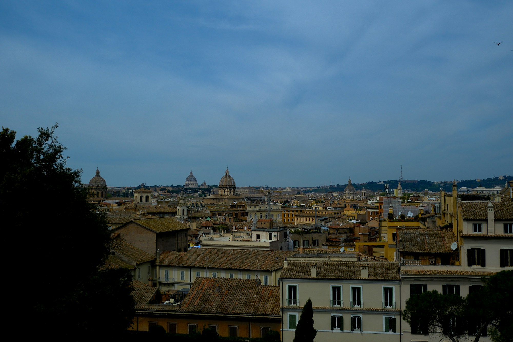 Rooftop view of Rome's domes under a blue sky
