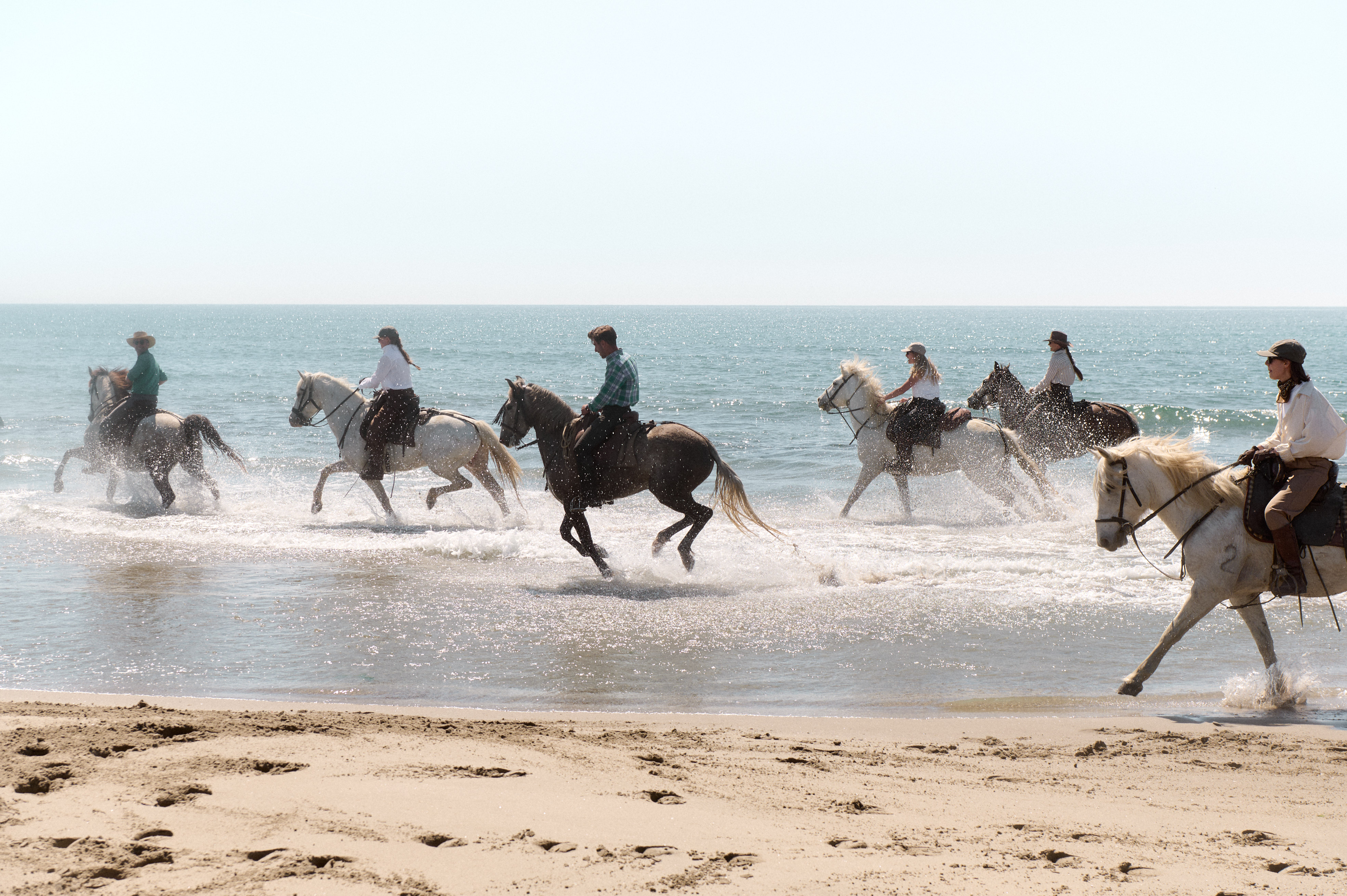 Maison You - Riding Safari Club - Guardians of Provence - France
