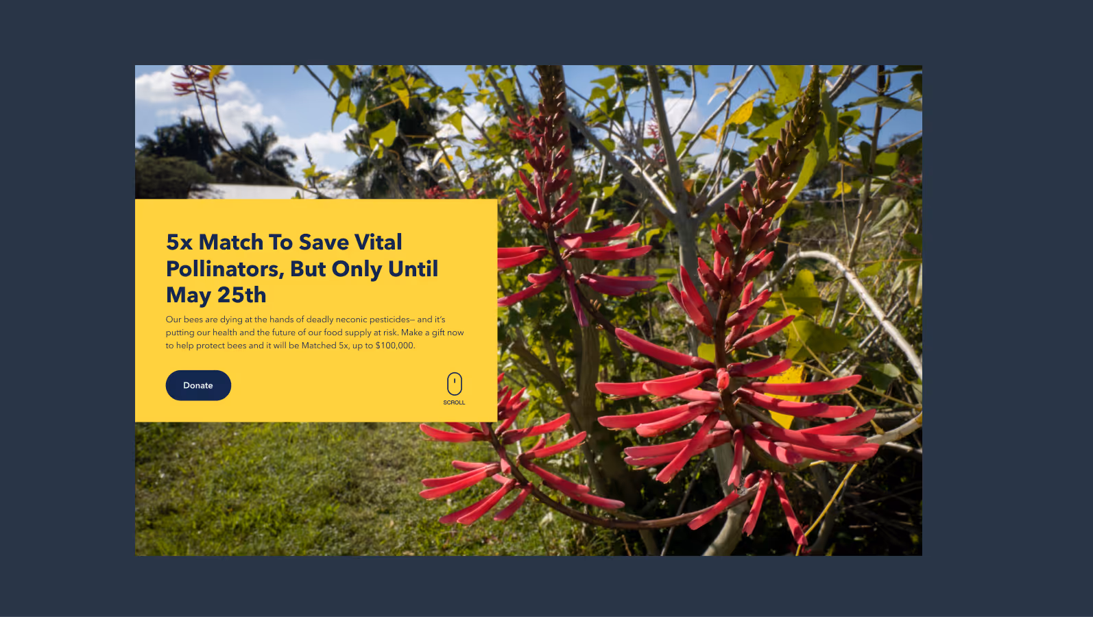 custom illustrations woman and baby, photo of families with decorative elements