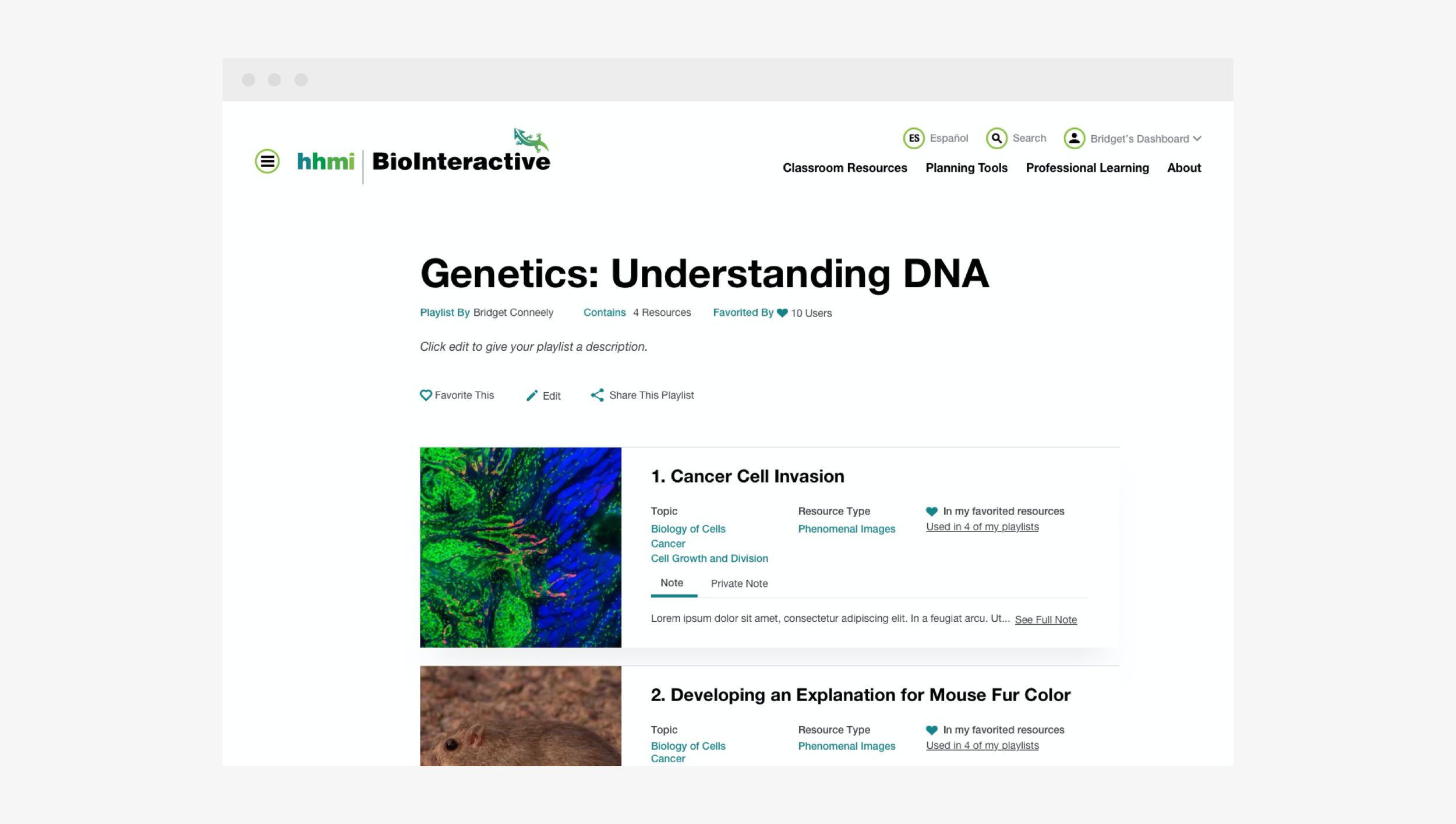 custom illustrations woman and baby, photo of families with decorative elements