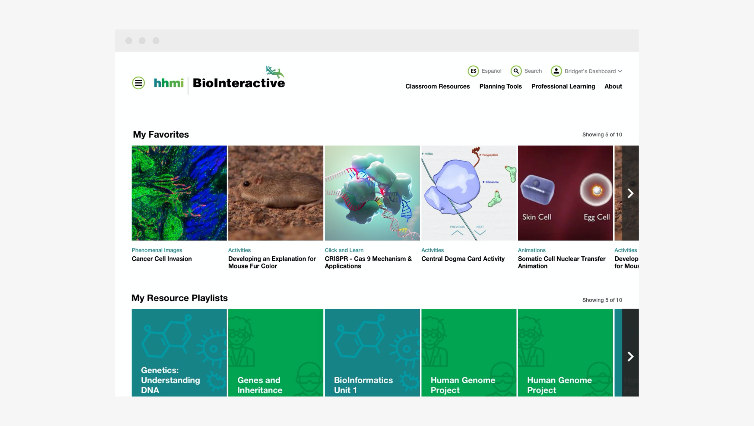 custom illustrations woman and baby, photo of families with decorative elements