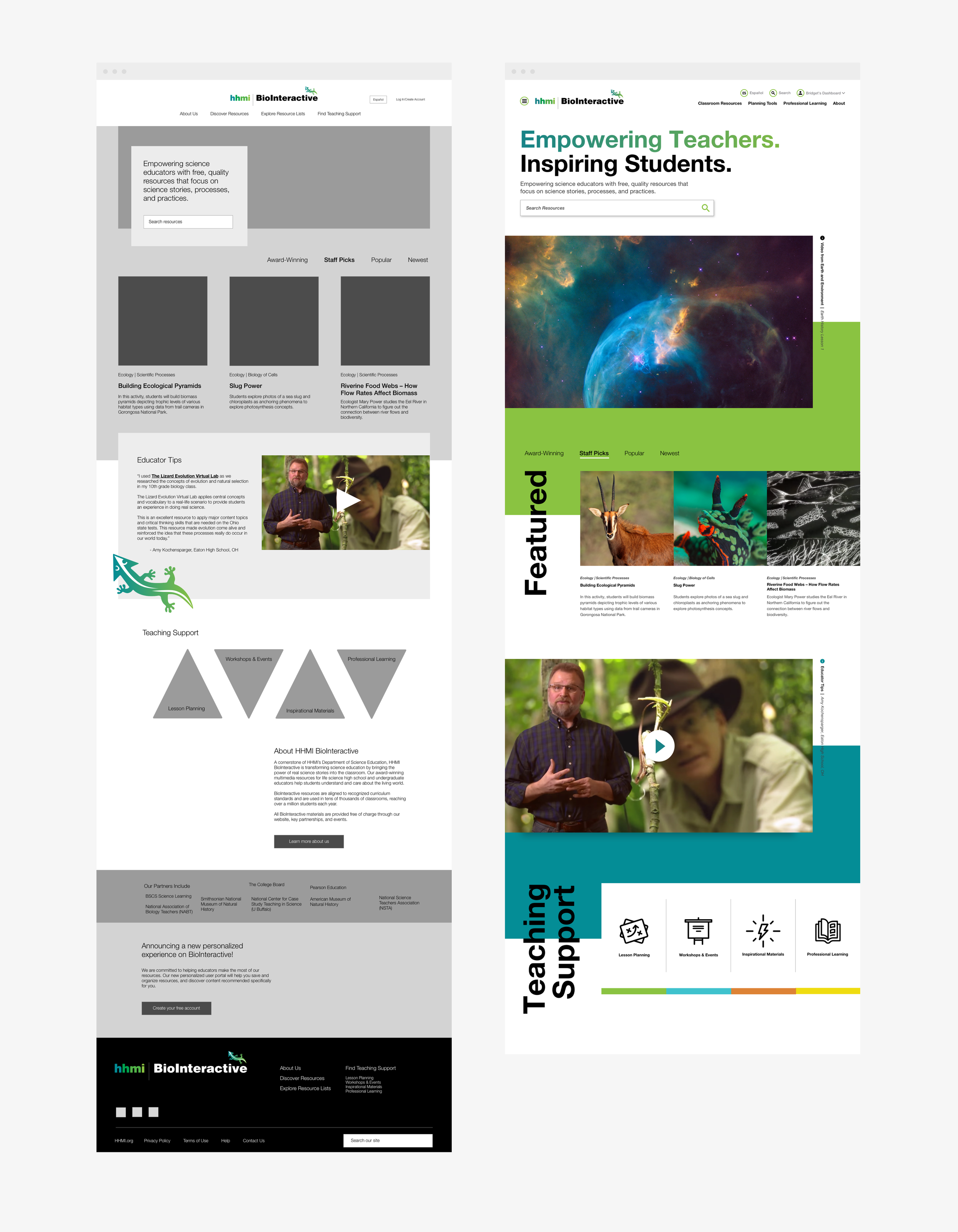 custom illustrations woman and baby, photo of families with decorative elements