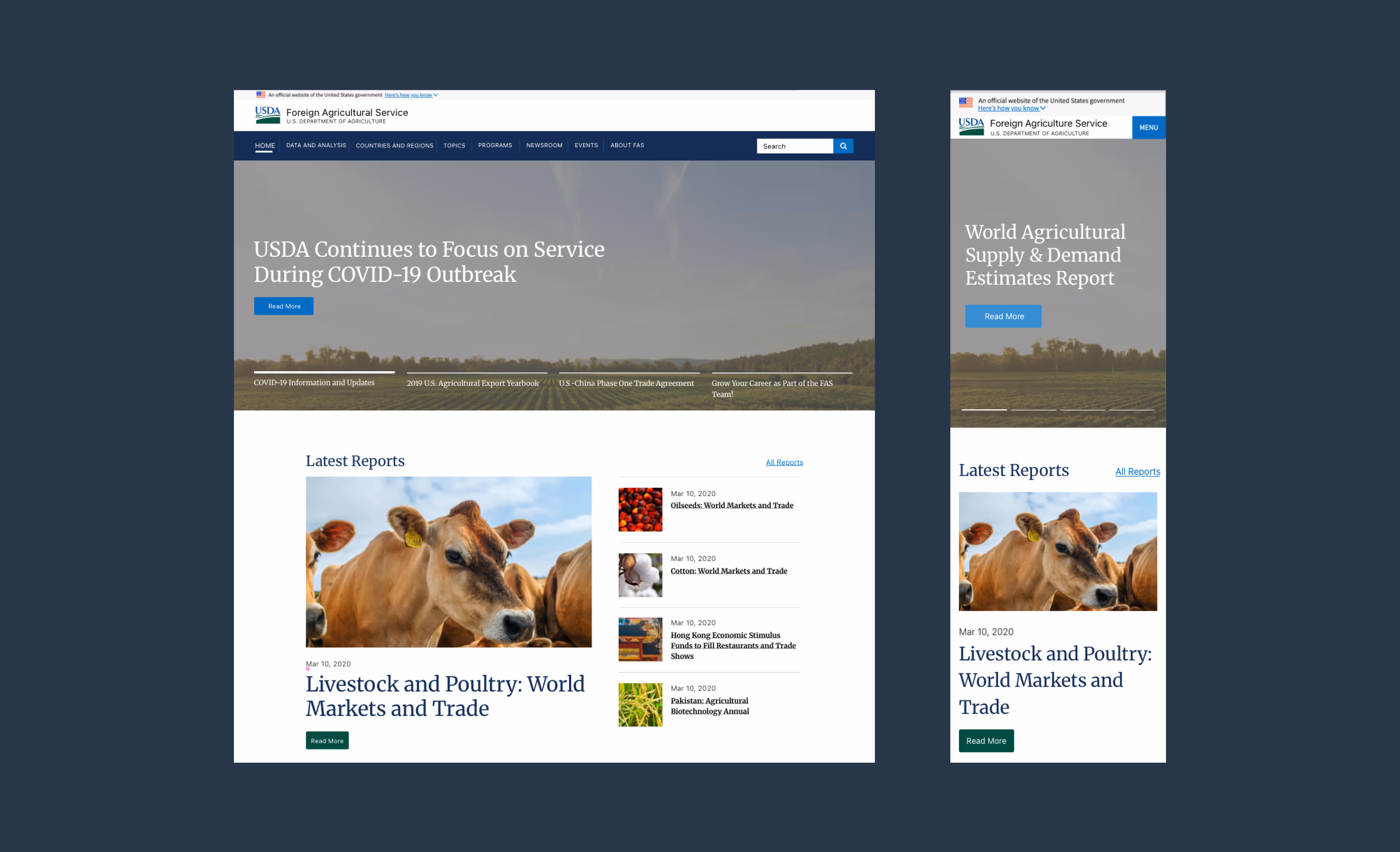 custom illustrations woman and baby, photo of families with decorative elements