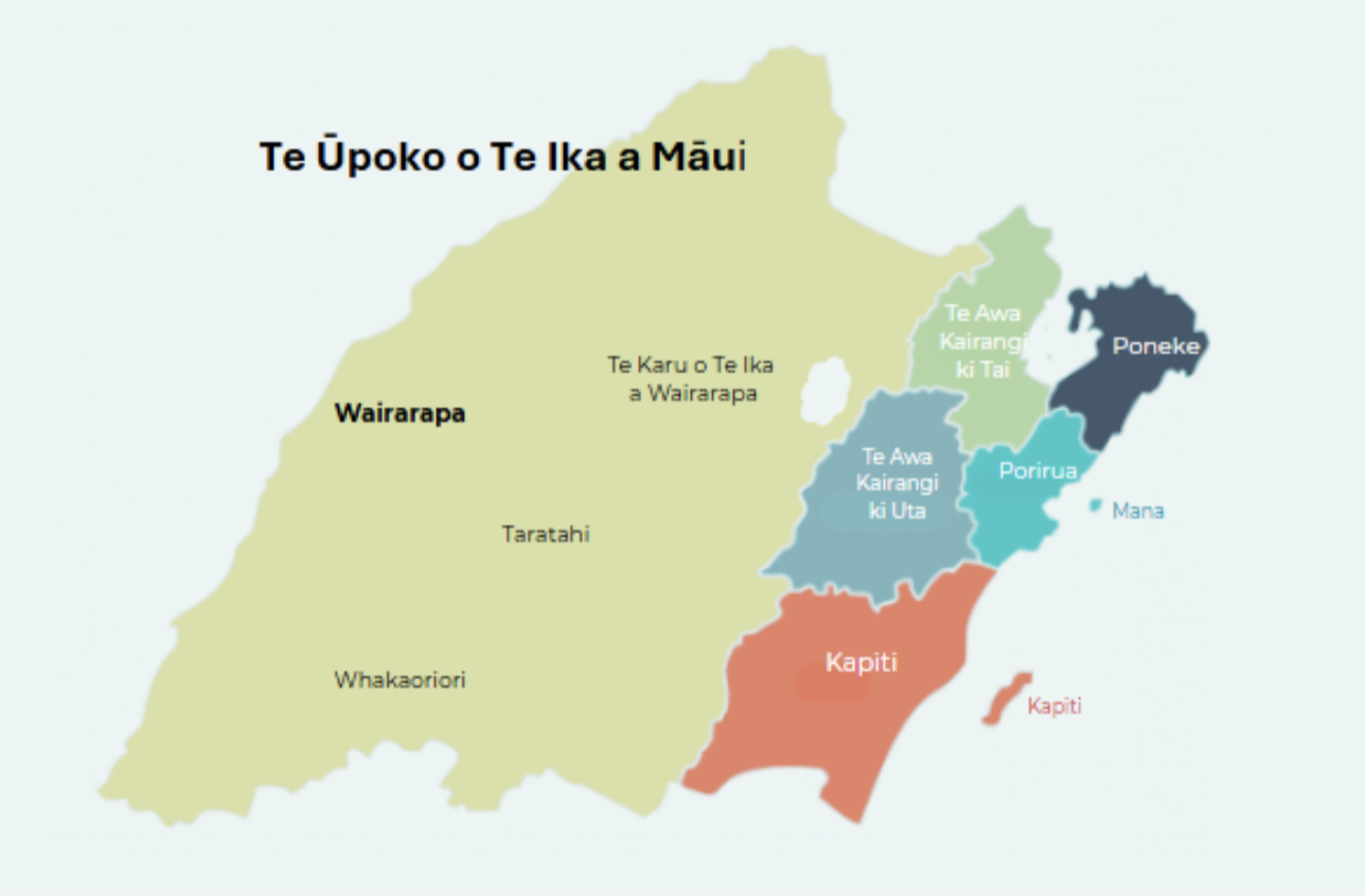 Region image