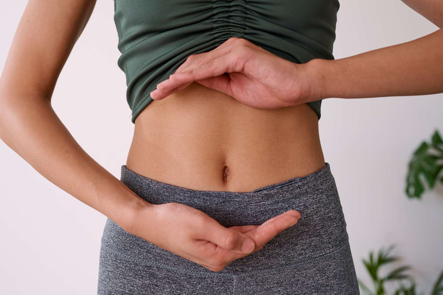 Gut Health