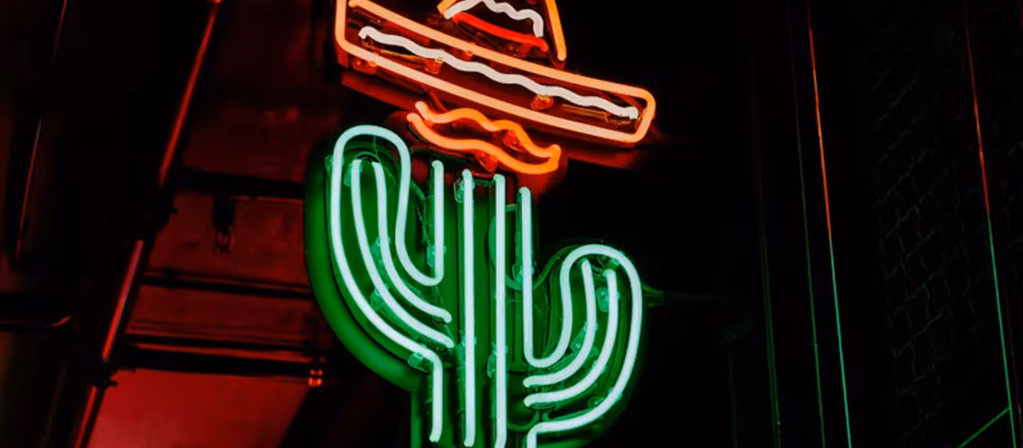 Neon sign of green cactus with red sombrero against dark background