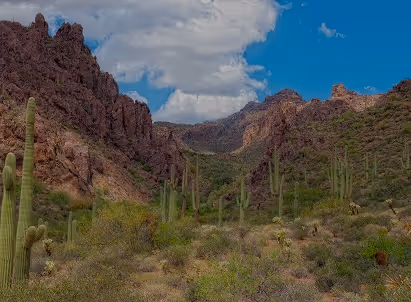Rugged desert landscape with saguaro cacti and rocky mountain terrain