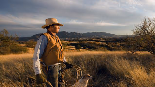 Cowboy standing in tall grass with a lasso and a dog, overlooking a vast landscape with mountains in the distance.