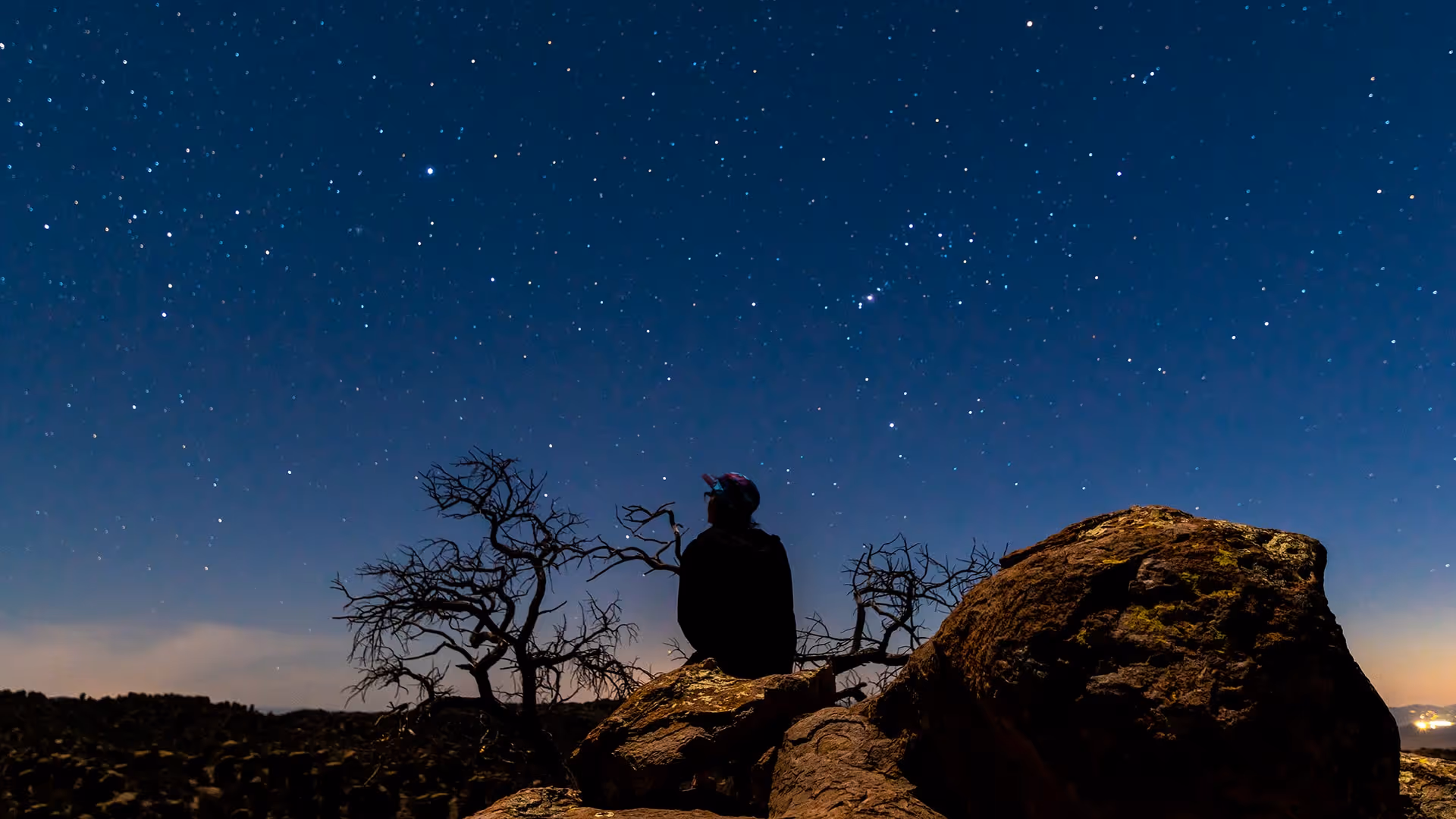 Person sitting on rocks at night under a star-filled sky with bare twisted trees nearby.
