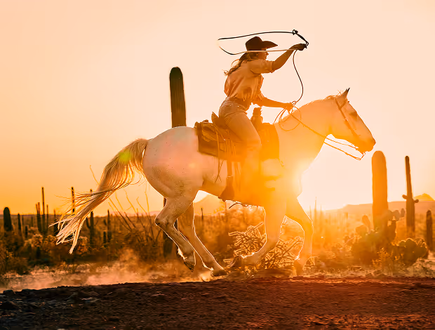 A women riding a white horse with a lasso while the sun sets in the distance 