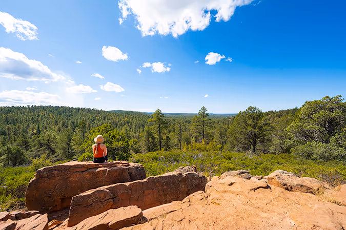 Person sitting on red rock overlooking a vast forest under a blue sky with scattered clouds.