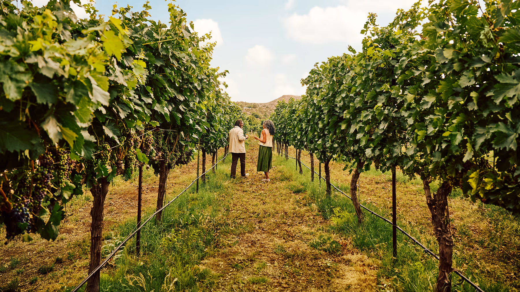 A man and woman walking through a vineyard holding wine glasses, surrounded by green grapevines under a partly cloudy sky.