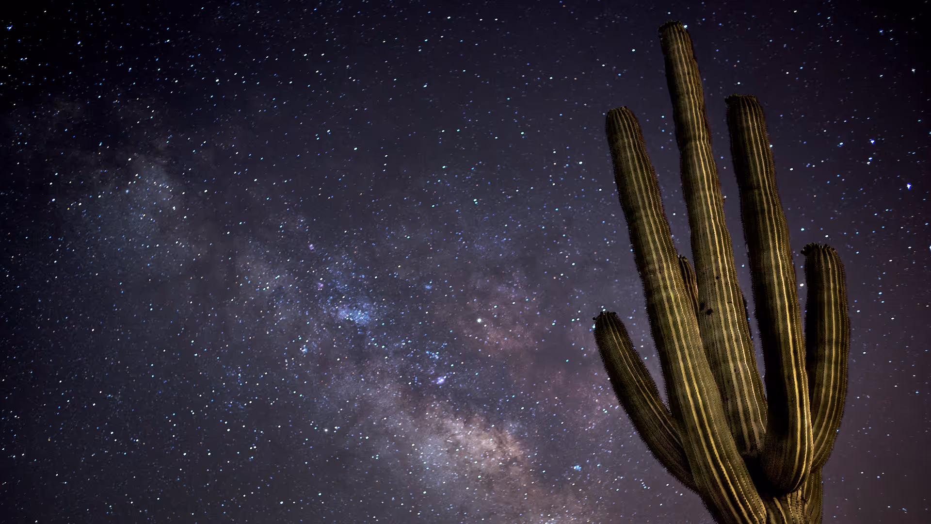 Tall saguaro cactus silhouette under a starry night sky with the Milky Way visible.