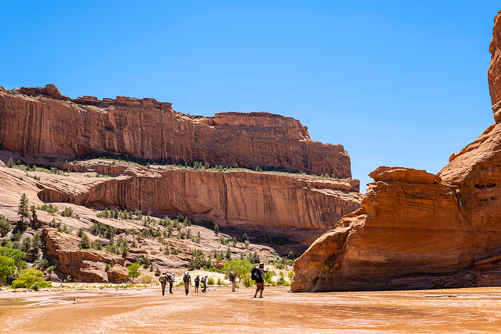Group of hikers walking through a river at the base of large red rock canyon walls under a clear blue sky.