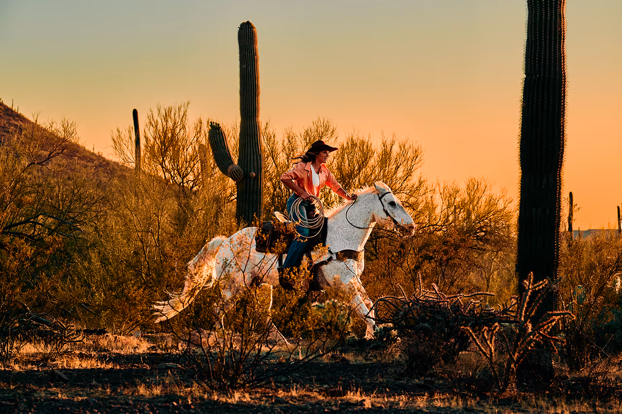 Woman in a cowboy hat riding a white horse through desert vegetation at sunset.