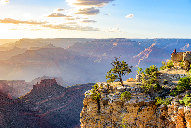 Person sitting on a rocky cliff overlooking the layered canyon landscape at sunset with scattered trees.