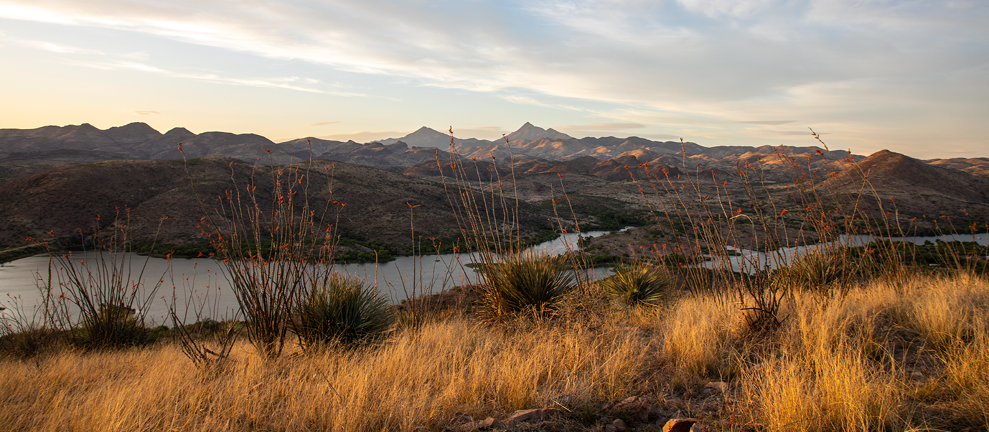SONOITA CREEK STATE NATURAL AREA