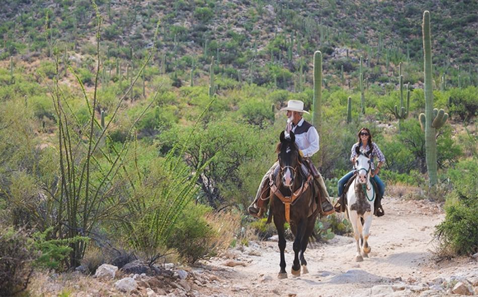A Sampling of Arizona's Dude Ranches