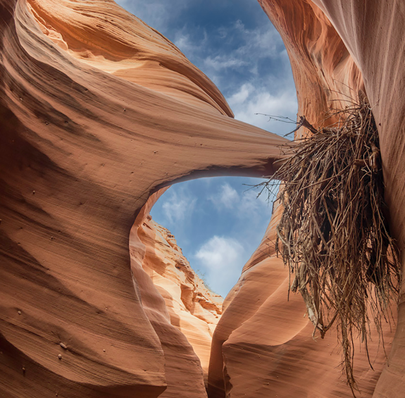 A Photographer's Guide to Exploring Arizona's Slot Canyons