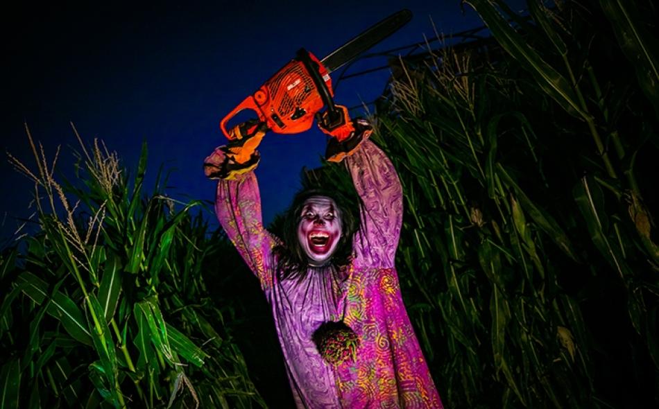 Top Things to Do this Halloween in Arizona